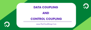 data coupling and control coupling